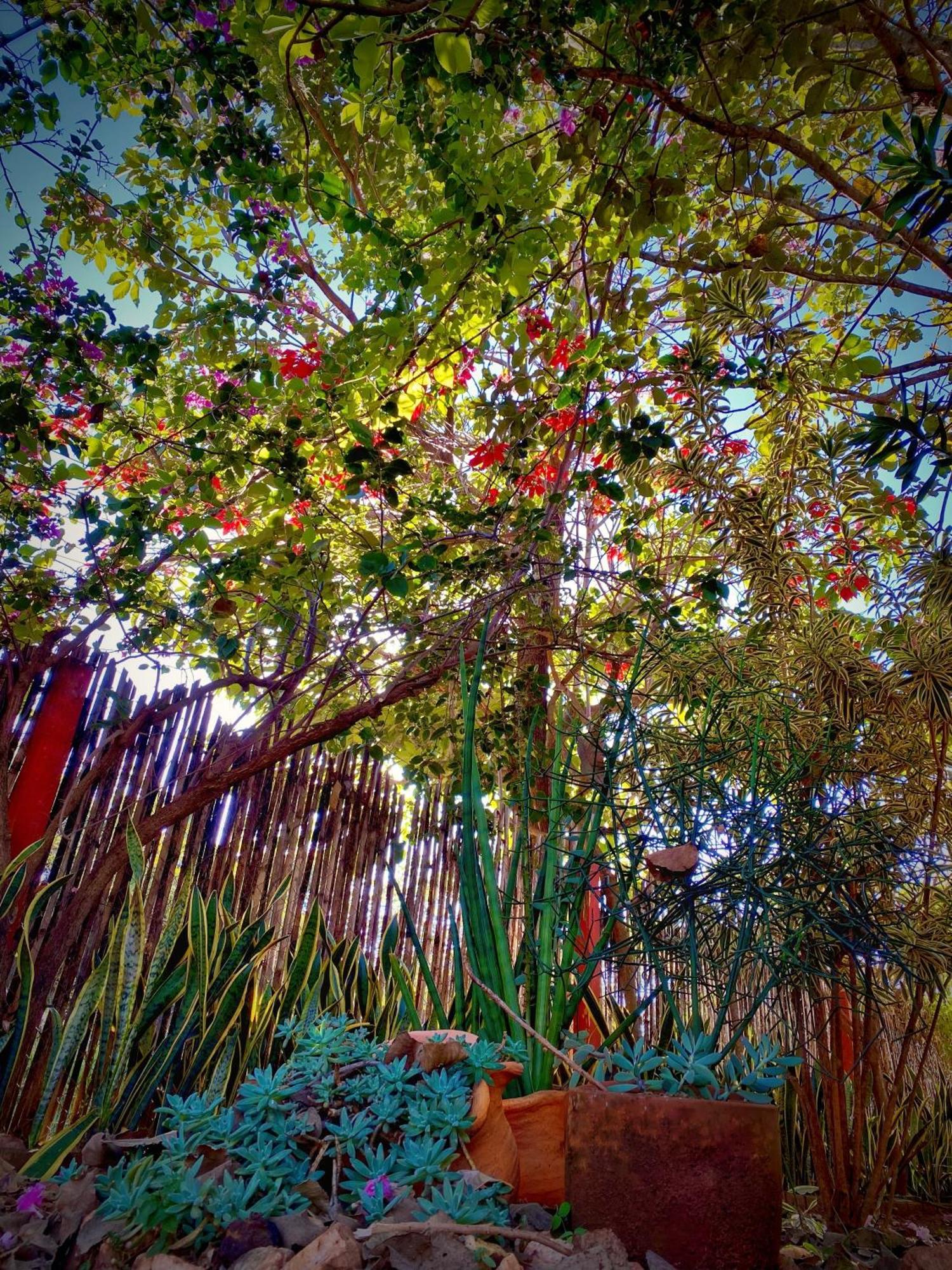 Pousada Jardim De Minas Serra do Cipo National Park Bagian luar foto